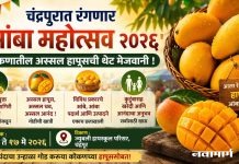 चंद्रपुरात रंगणार ‘आंबा महोत्सव २०२६’