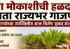 बोडखा मोकाशीची हळद आता राज्यभर गाजणार