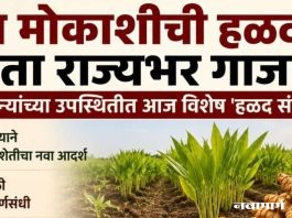 बोडखा मोकाशीची हळद आता राज्यभर गाजणार