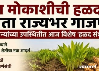 बोडखा मोकाशीची हळद आता राज्यभर गाजणार