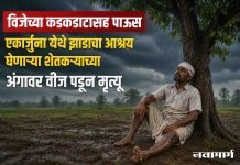 विजेच्या कडकडाटासह पाऊस