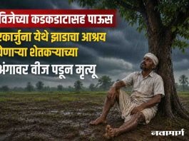 विजेच्या कडकडाटासह पाऊस