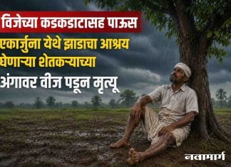 विजेच्या कडकडाटासह पाऊस